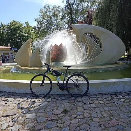 Halo Kolobrzeg